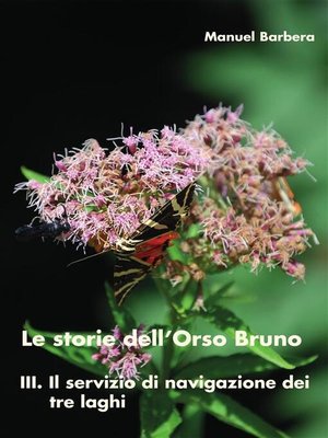 cover image of Le storie dell'Orso Bruno. III. Il servizio di navigazione dei tre laghi.